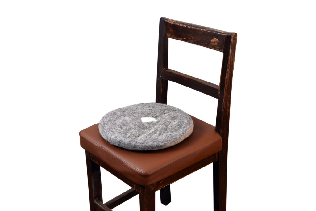 Home circle seat cushion